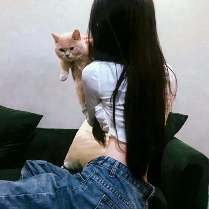 神秘夫人粤语 在线观看